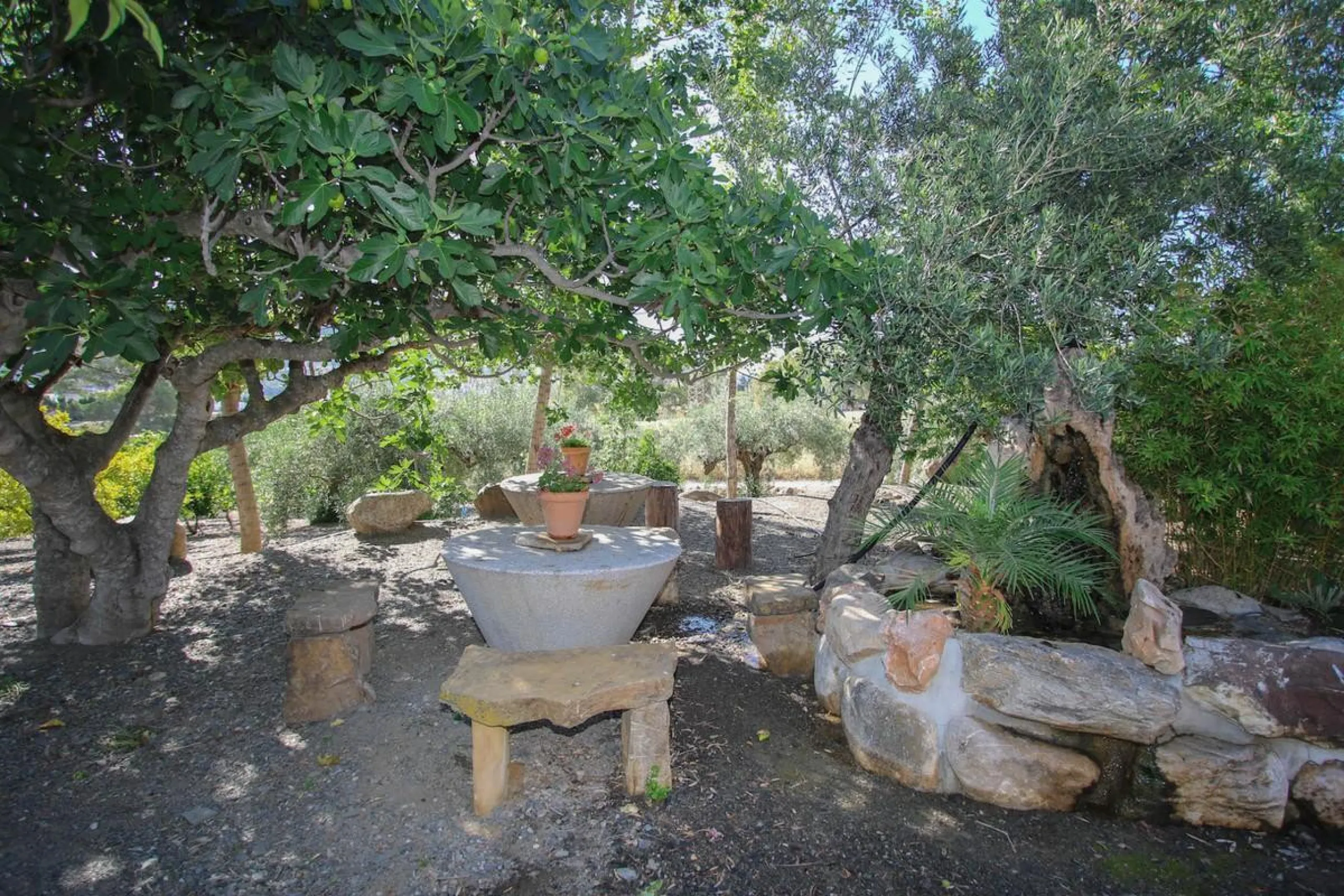 CHARMING Country Finca