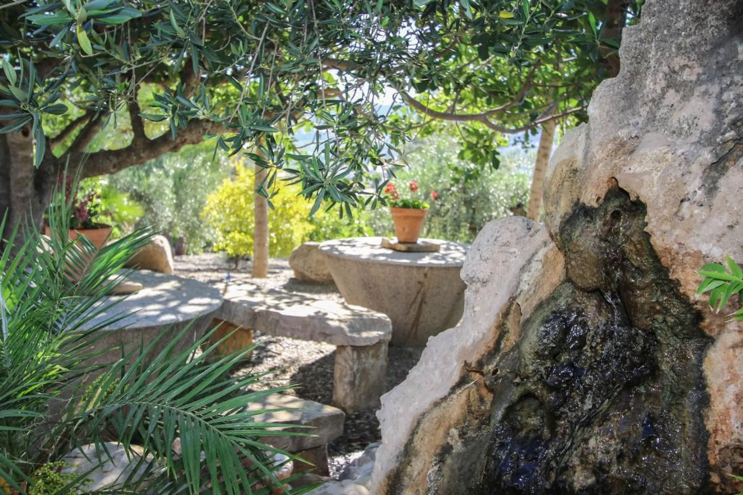 CHARMING Country Finca
