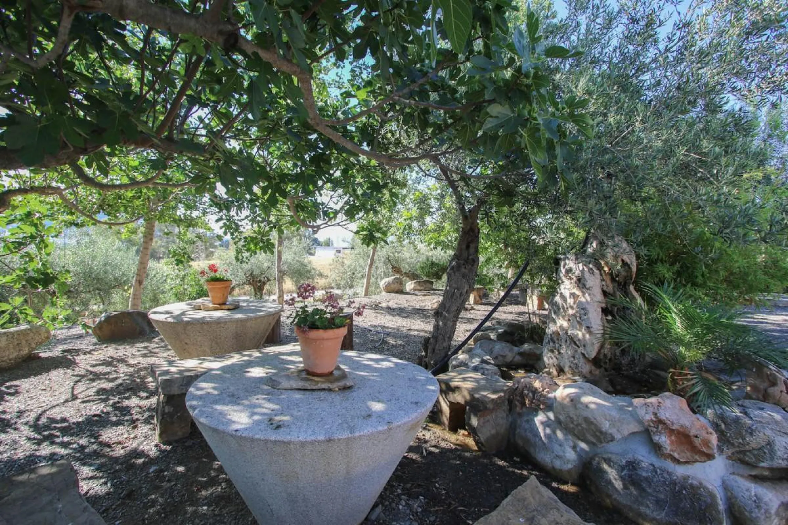 CHARMING Country Finca