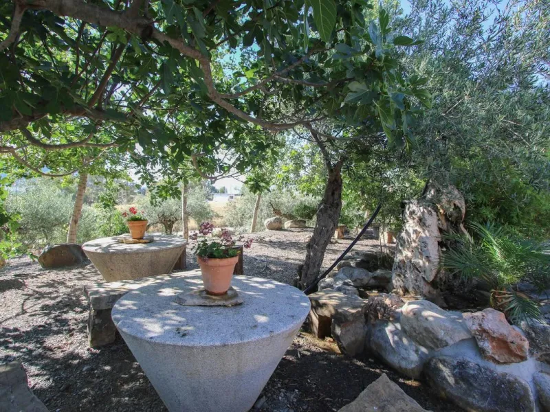 CHARMING Country Finca