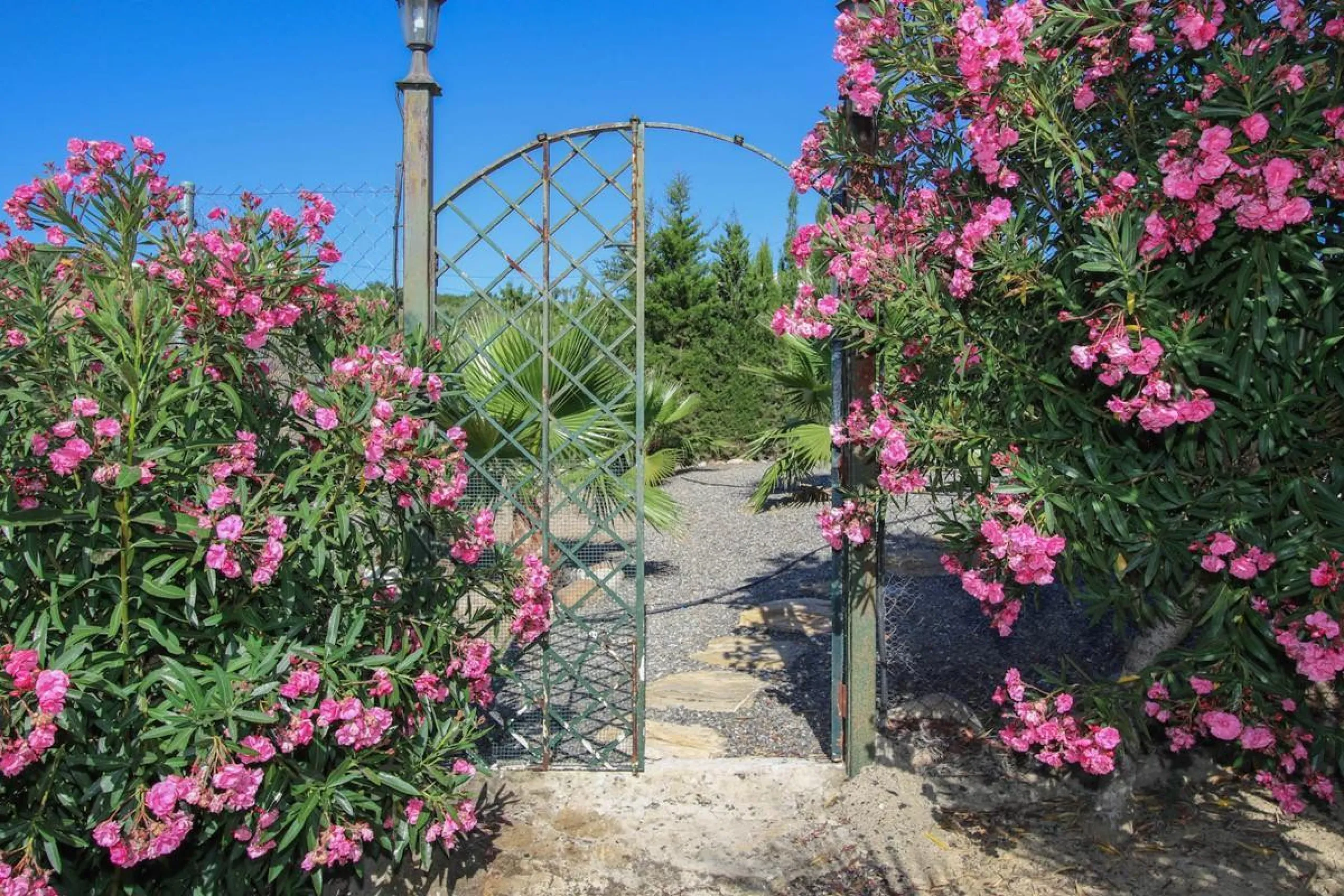 CHARMING Country Finca