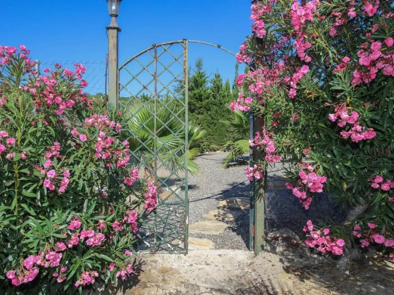 CHARMING Country Finca