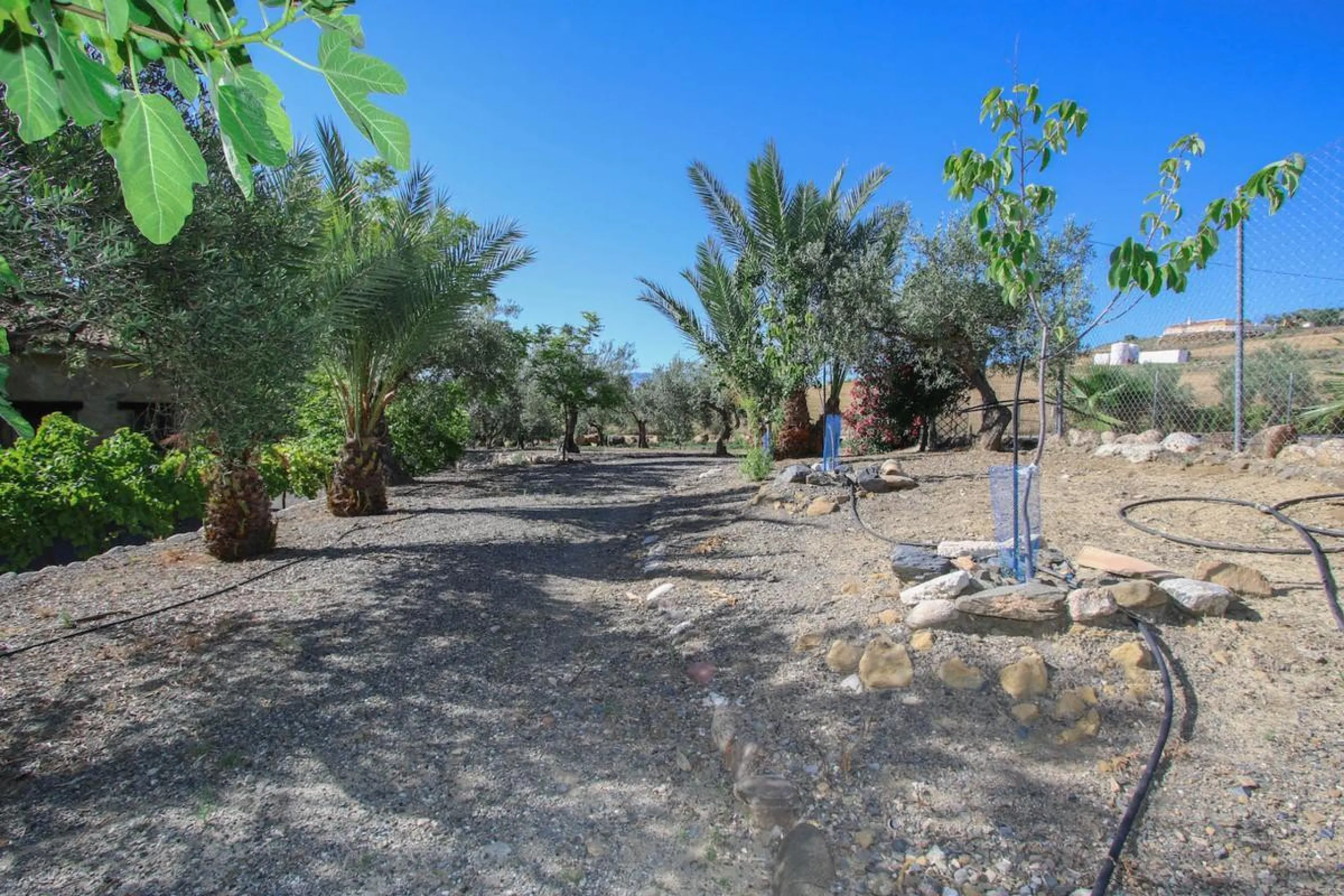 CHARMING Country Finca