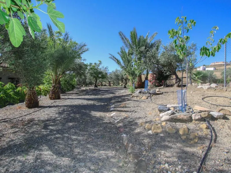 CHARMING Country Finca