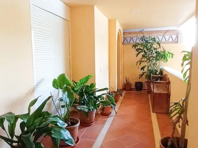 Apartment - Ground Floor Apartment в продаже в Marbella, Málaga. В доме 2 спален и 2 ванных комнат. Площадь дома 100 м²