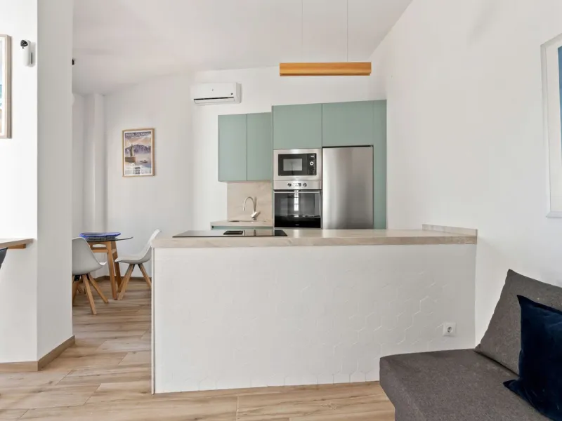 Exclusive Investment Opportunity in Cabopino Marina – 2 Apartments with Tourist License
