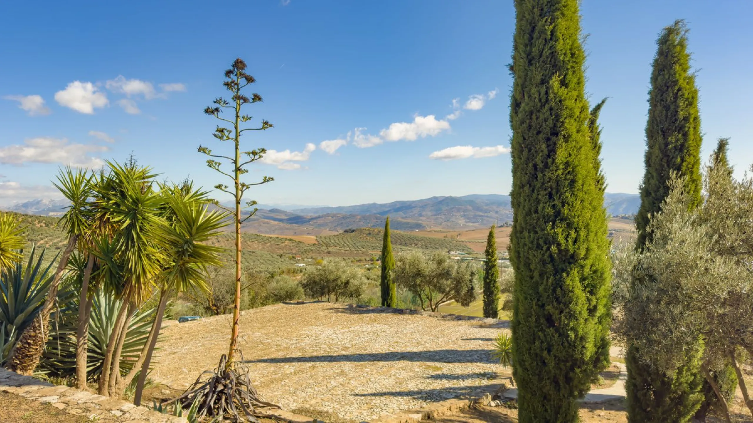 This exceptional Andalusian estate, located in the charming village of Villanueva de la Concepción, offers a rare combination of space, privacy, and breathtaking surroundings. The main residence includes 11 beautifully renovated bedrooms, comfortably acco