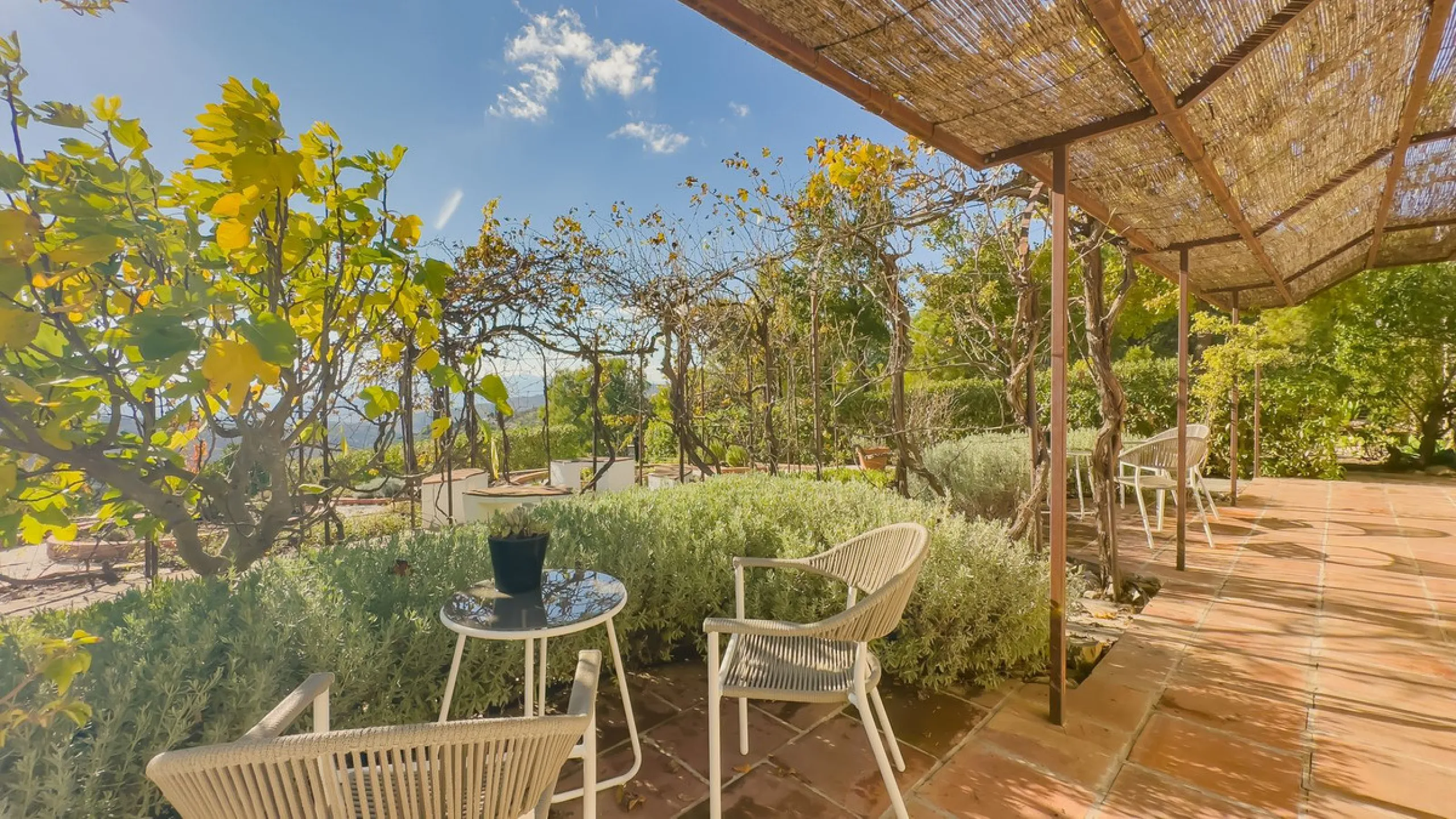 This exceptional Andalusian estate, located in the charming village of Villanueva de la Concepción, offers a rare combination of space, privacy, and breathtaking surroundings. The main residence includes 11 beautifully renovated bedrooms, comfortably acco