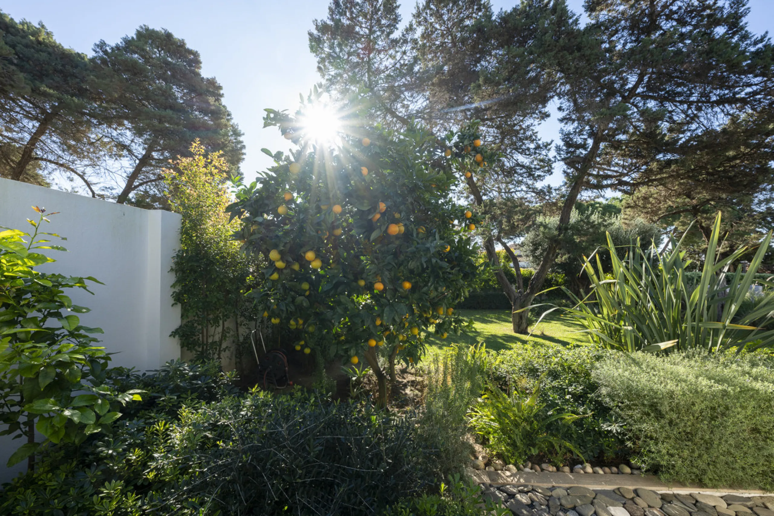 Stunning single-story villa located in the tranquil and sought-after area of Marbesa, East of Marbella. This beautifully designed property features three bedrooms plus an office space, making it ideal for both relaxation and productivity. The villa underw