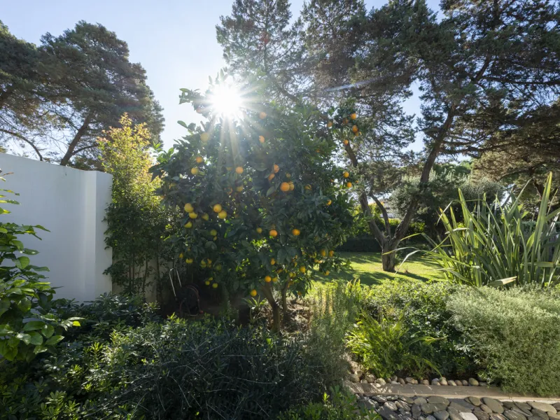 Stunning single-story villa located in the tranquil and sought-after area of Marbesa, East of Marbella. This beautifully designed property features three bedrooms plus an office space, making it ideal for both relaxation and productivity. The villa underw