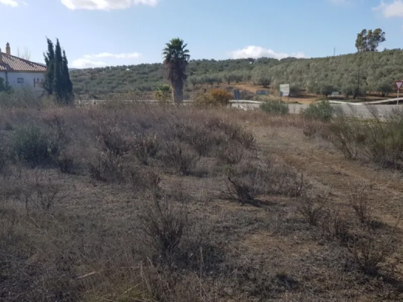 NDUSTRIAL LAND FOR SALE IN COLMENAR (MÁLAGA)