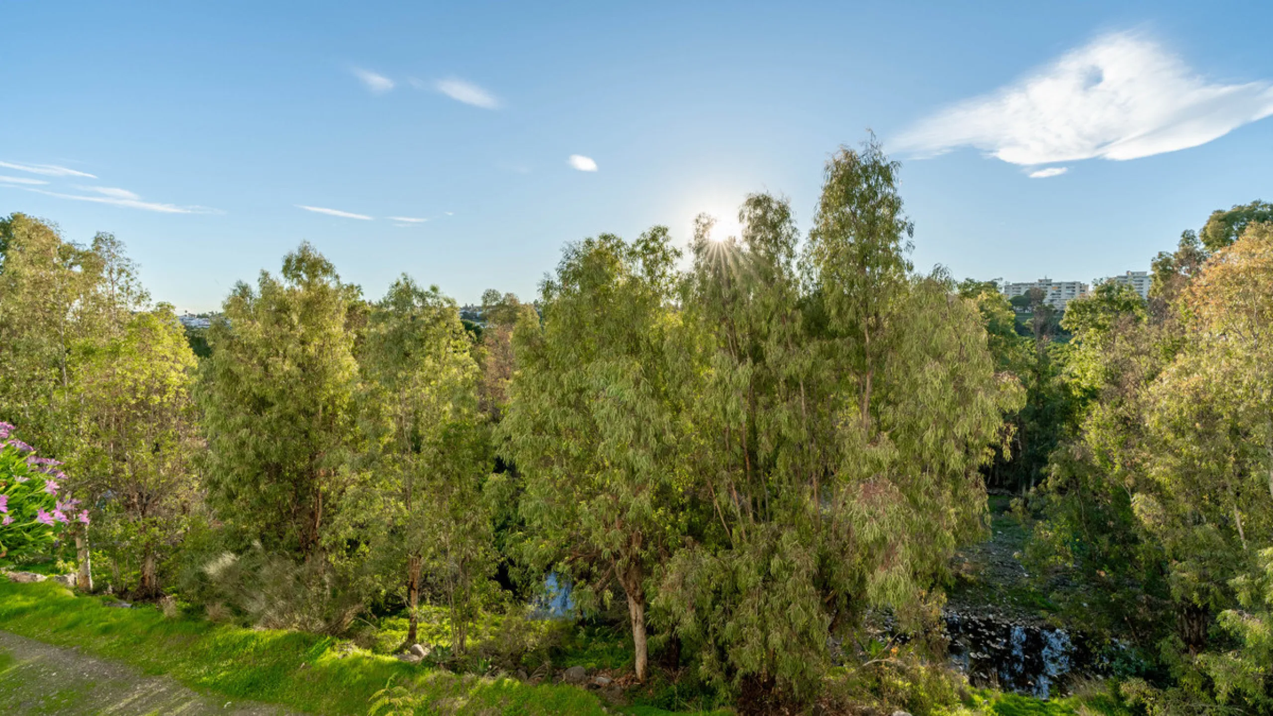 Discover a rare opportunity to own a very spacious apartment in the highly coveted area of Guadalmina Alta. This exceptional property is in an unbeatable location.