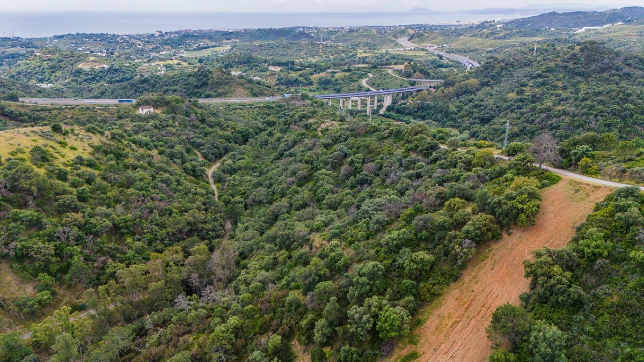 EXCLUSIVE 31,000 m² AGRICULTURAL PLOT – ESTEPONA / SAN PEDRO