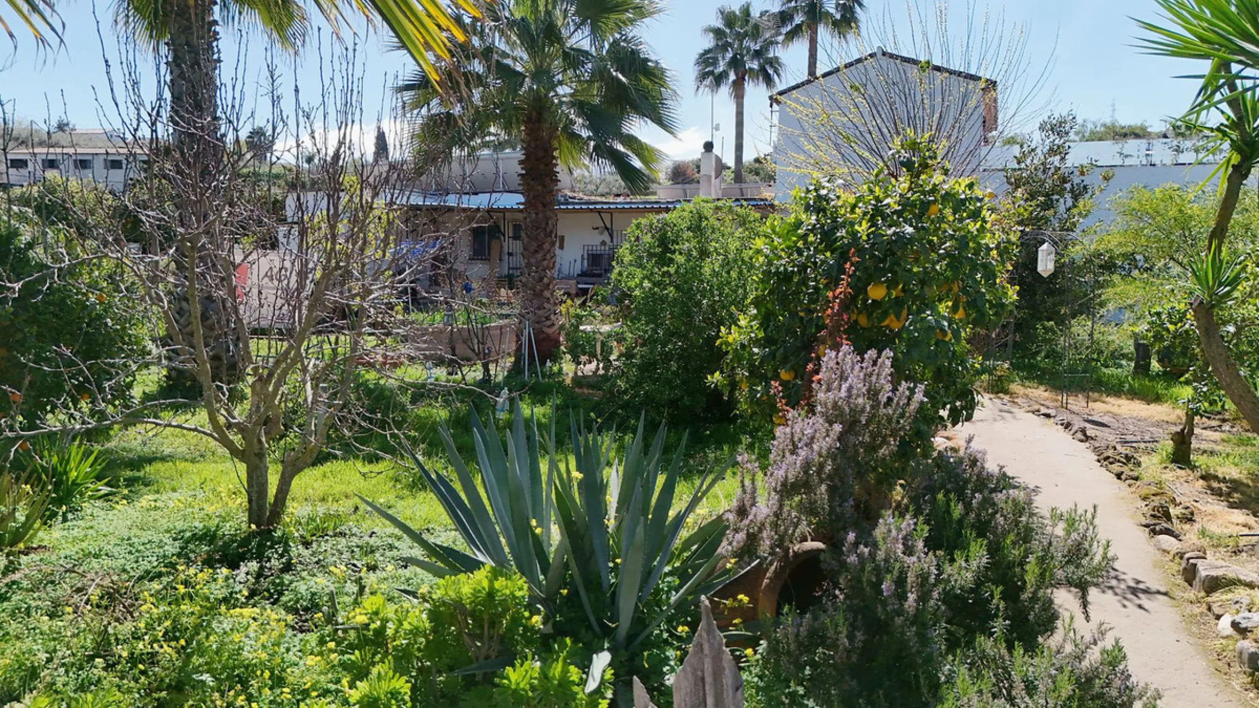 House - Semi-Detached House в продаже в Coín, Málaga. В доме 5 спален и 2 ванных комнат. Площадь дома 101 м². Площадь участка 4000 м²