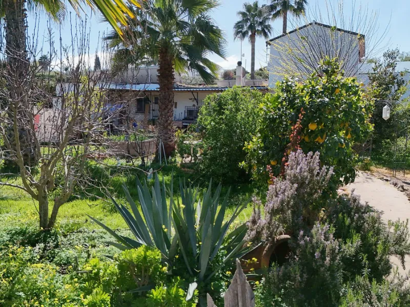 House - Semi-Detached House в продаже в Coín, Málaga. В доме 5 спален и 2 ванных комнат. Площадь дома 101 м². Площадь участка 4000 м²