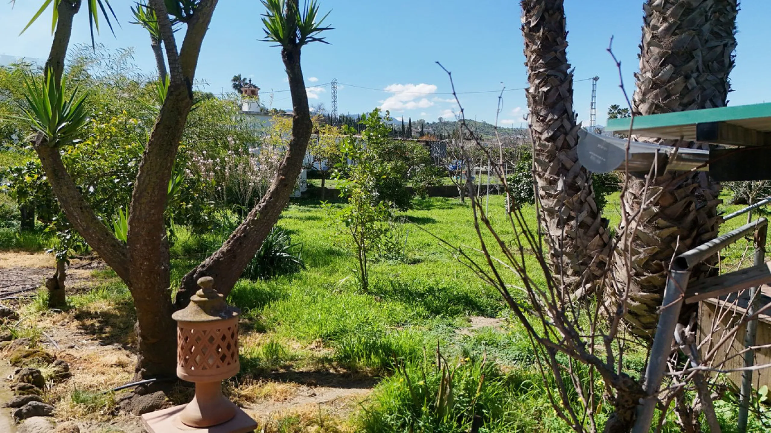 House - Semi-Detached House в продаже в Coín, Málaga. В доме 5 спален и 2 ванных комнат. Площадь дома 101 м². Площадь участка 4000 м²