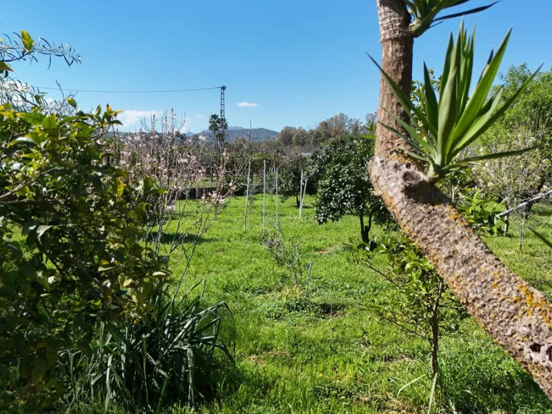 House - Semi-Detached House в продаже в Coín, Málaga. В доме 5 спален и 2 ванных комнат. Площадь дома 101 м². Площадь участка 4000 м²