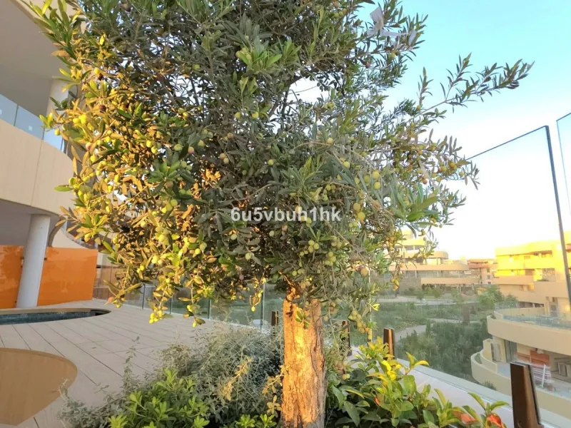 Apartment - Ground Floor Apartment в продаже в Fuengirola, Málaga. В доме 3 спален и 2 ванных комнат. Площадь дома 114 м²