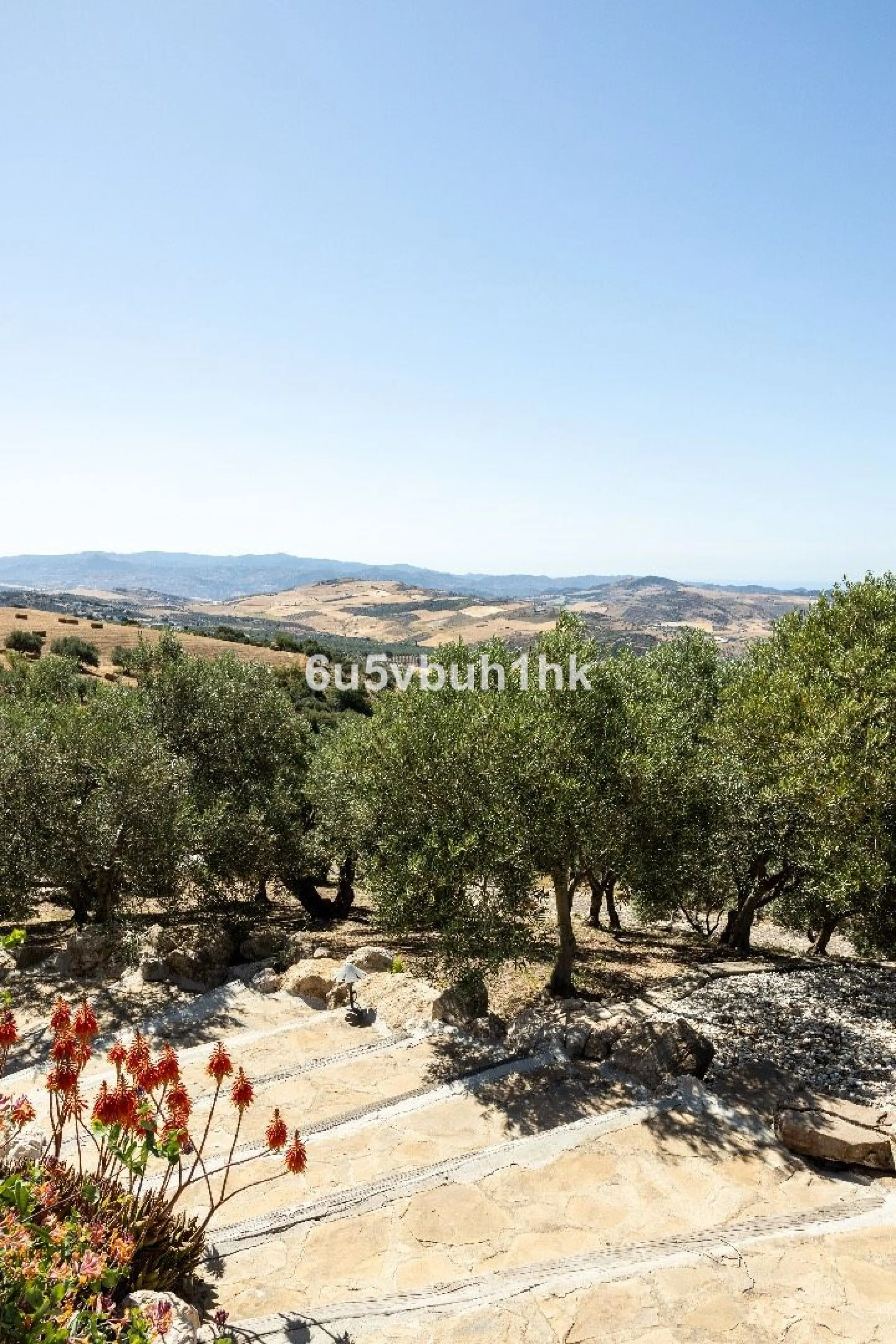 House - Detached Villa в продаже в Antequera, Málaga. В доме 5 спален и 5 ванных комнат. Площадь дома 643 м². Площадь участка 39428 м²