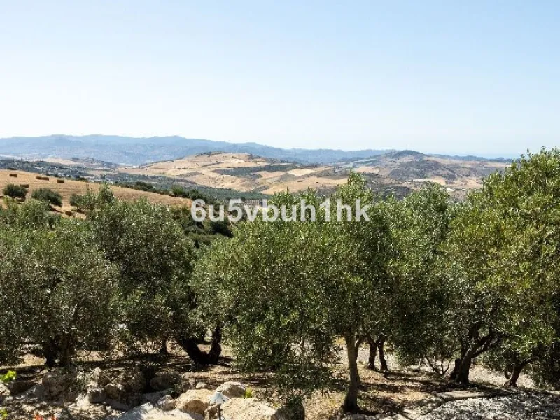 House - Detached Villa в продаже в Antequera, Málaga. В доме 5 спален и 5 ванных комнат. Площадь дома 643 м². Площадь участка 39428 м²