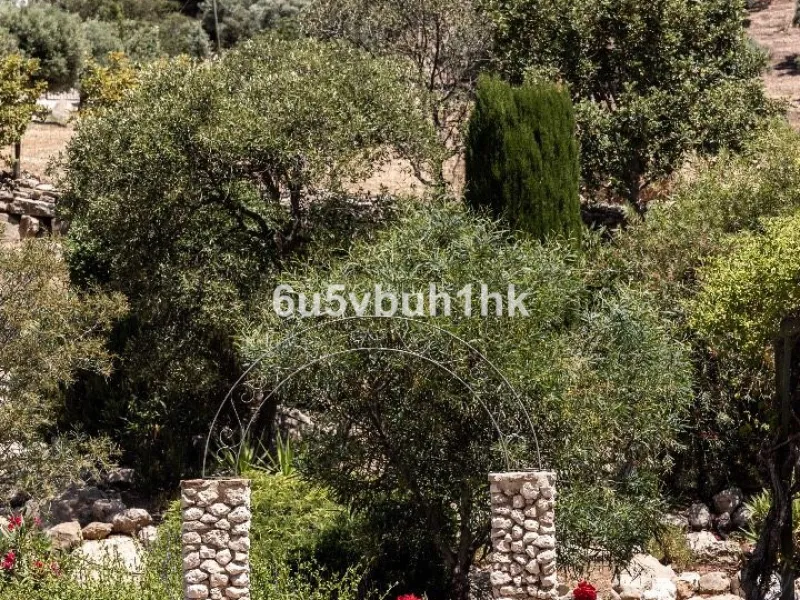 House - Detached Villa в продаже в Antequera, Málaga. В доме 5 спален и 5 ванных комнат. Площадь дома 643 м². Площадь участка 39428 м²