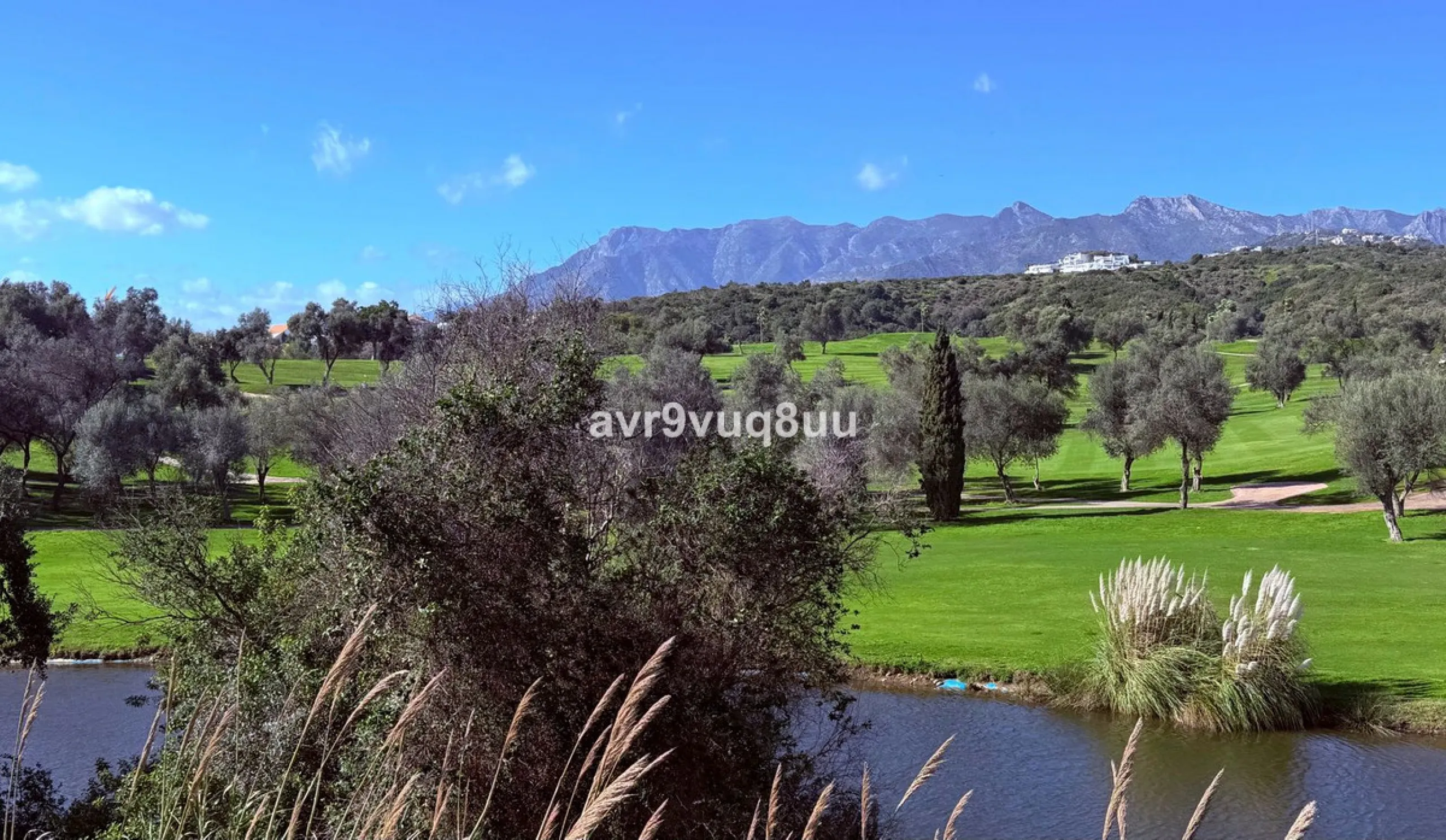 This very located detached house is situated in a quiet cul de sac, in the lower part of El Rosario. So within a very short walk are many amenities such as the local tennis club and gym, a very nice selection of Spanish and Interntional cafes and bars, an