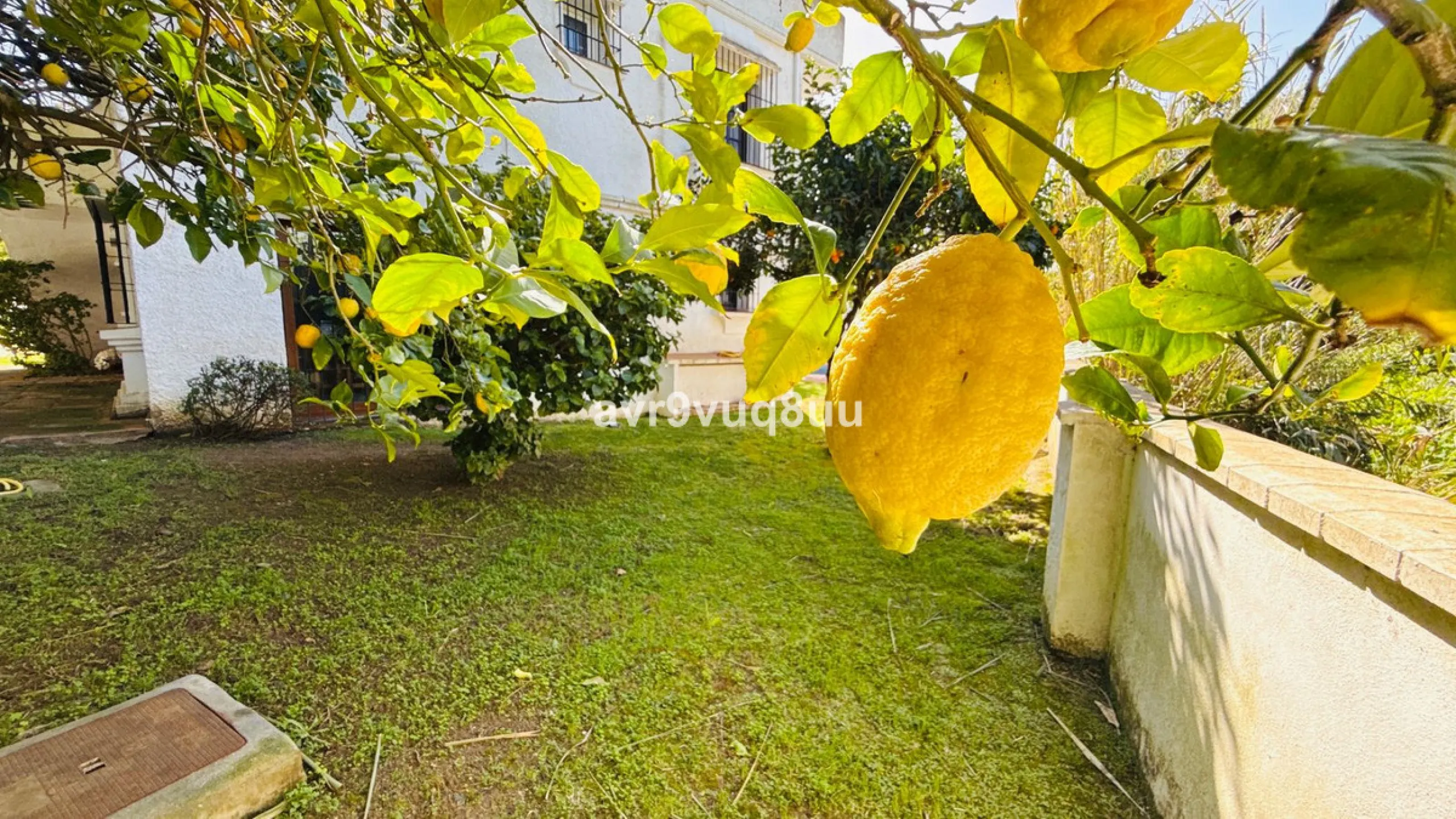 This very located detached house is situated in a quiet cul de sac, in the lower part of El Rosario. So within a very short walk are many amenities such as the local tennis club and gym, a very nice selection of Spanish and Interntional cafes and bars, an