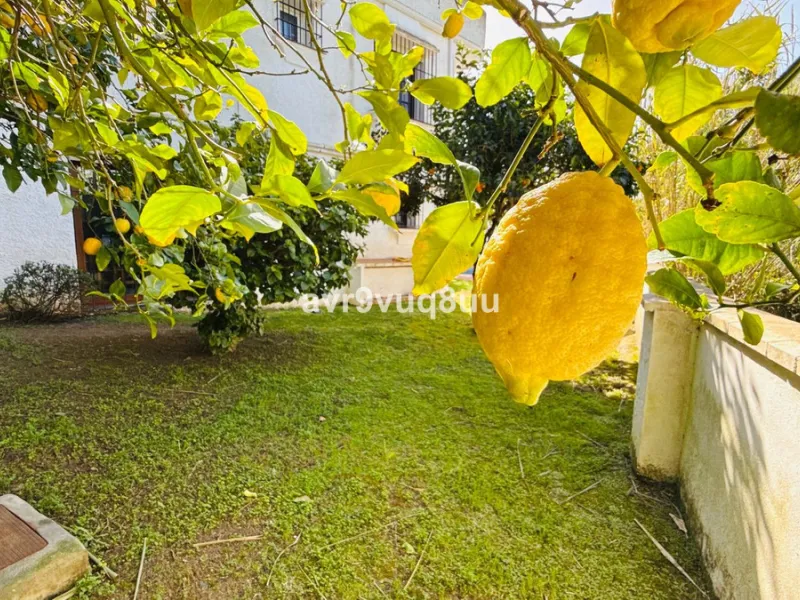 This very located detached house is situated in a quiet cul de sac, in the lower part of El Rosario. So within a very short walk are many amenities such as the local tennis club and gym, a very nice selection of Spanish and Interntional cafes and bars, an