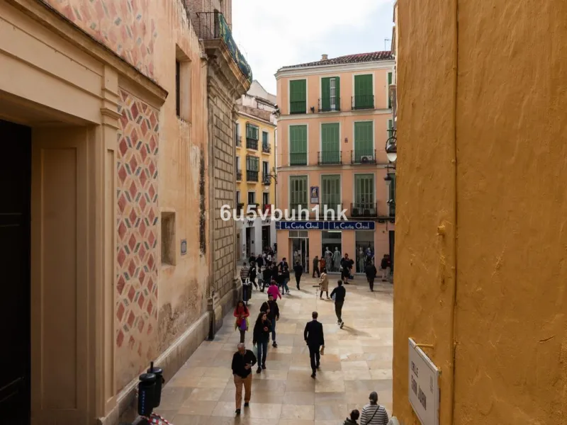 Located on one of the most picturesque streets in Málaga's historic centre, Calle San Juan, this characterful building offers a rare combination of immediate income and exceptional development potential. With its rooftop overlooking the magnificent tower 