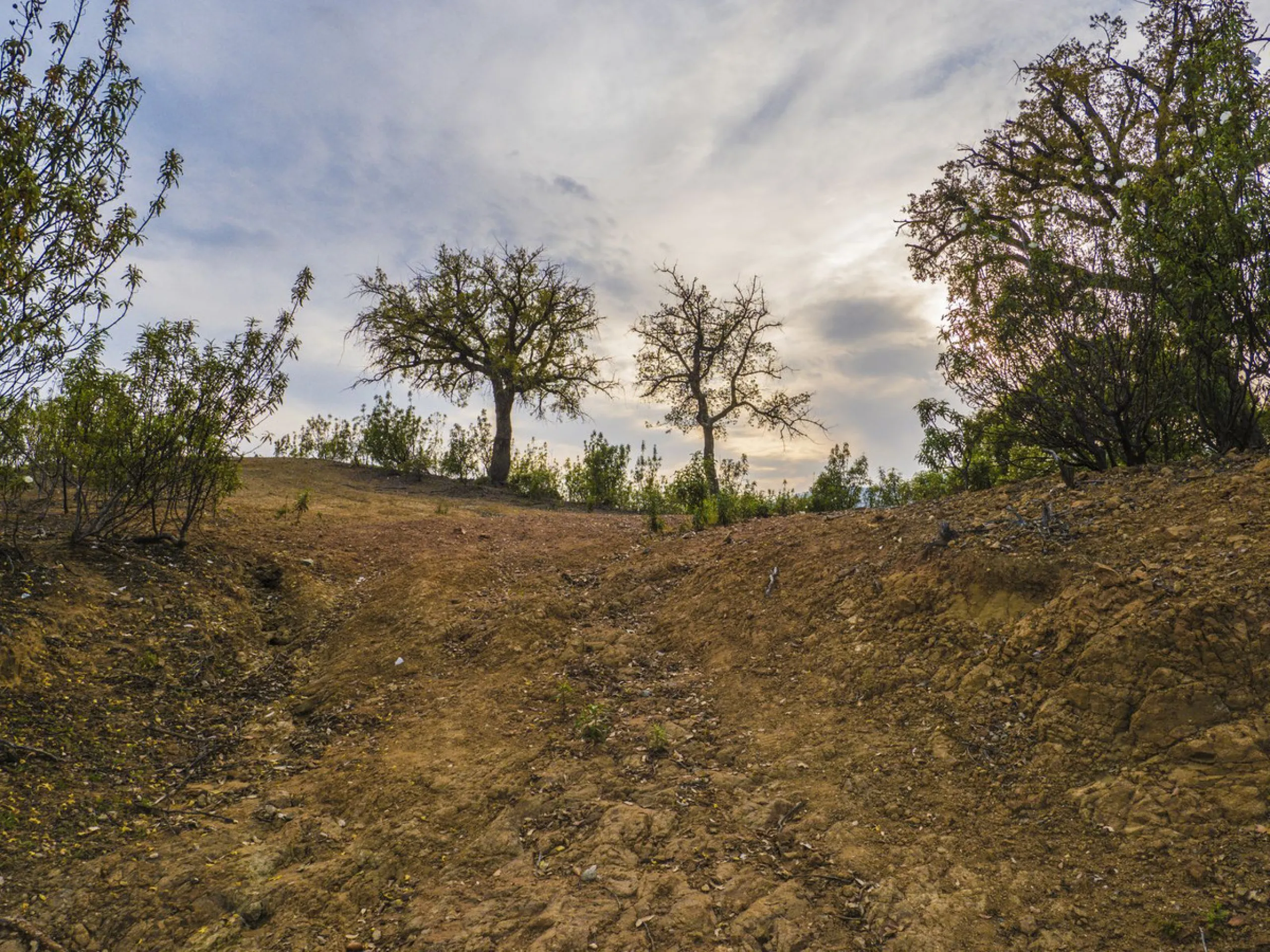 Excellent flat plot currently available for development in La Zagaleta, offering maximum privacy.