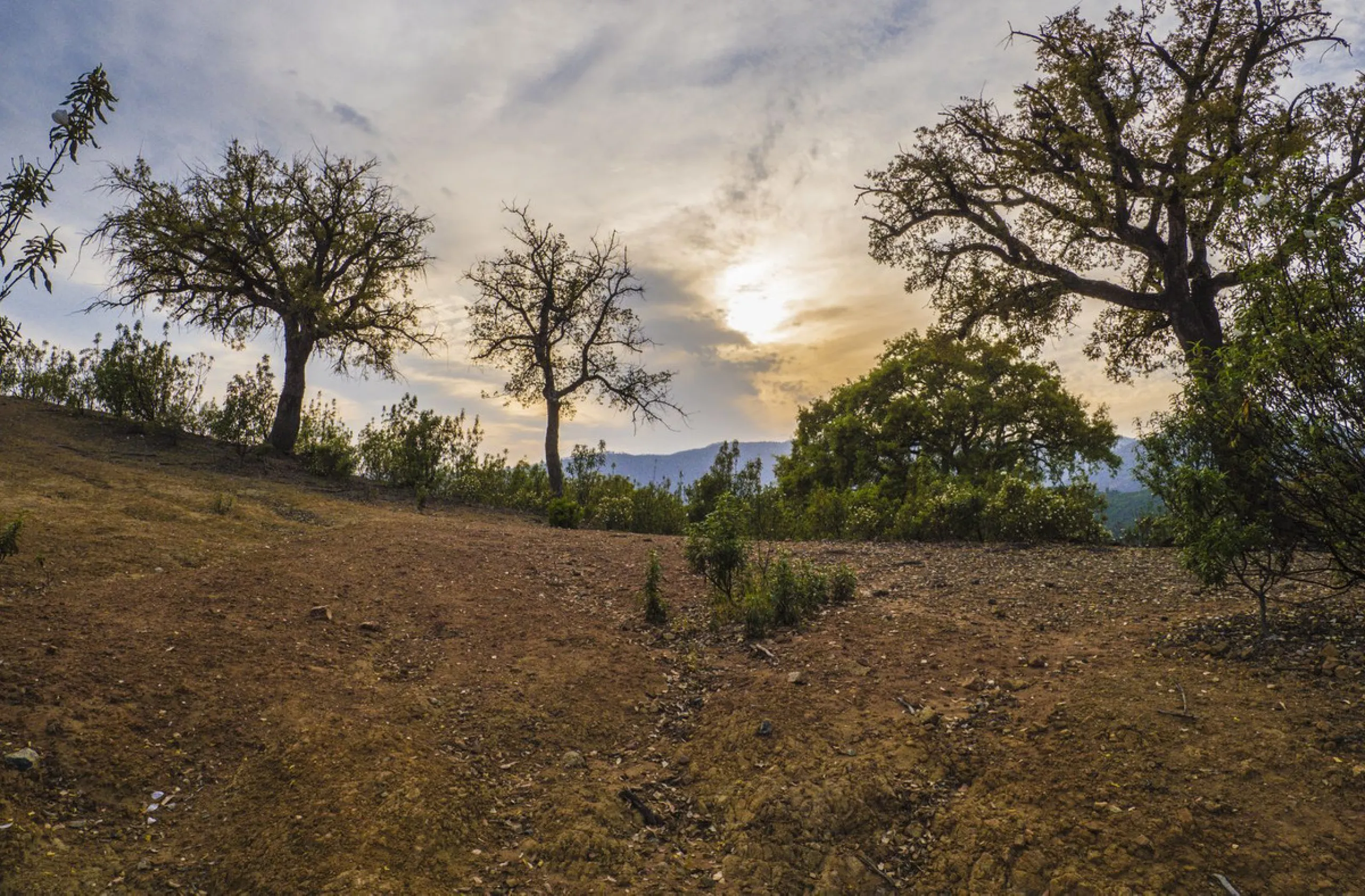 Excellent flat plot currently available for development in La Zagaleta, offering maximum privacy.