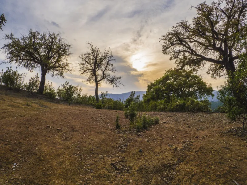 Excellent flat plot currently available for development in La Zagaleta, offering maximum privacy.