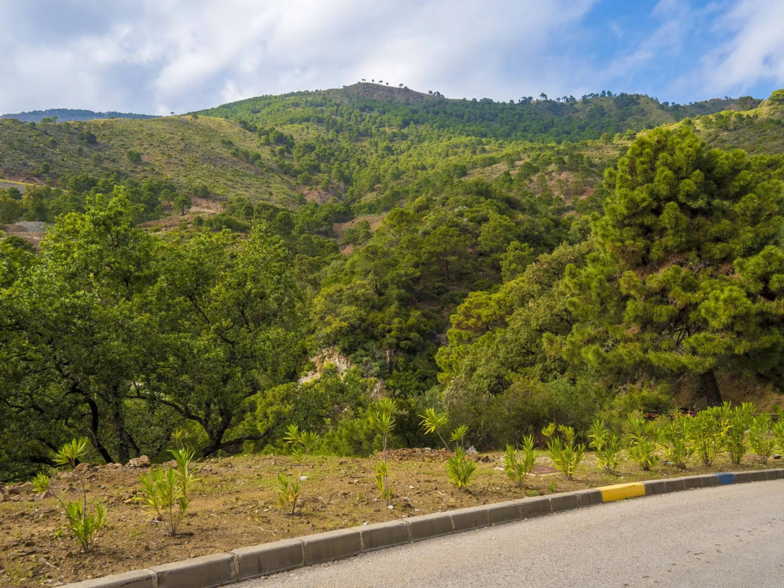 Excellent flat plot currently available for development in La Zagaleta, offering maximum privacy.