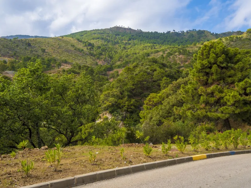 Excellent flat plot currently available for development in La Zagaleta, offering maximum privacy.