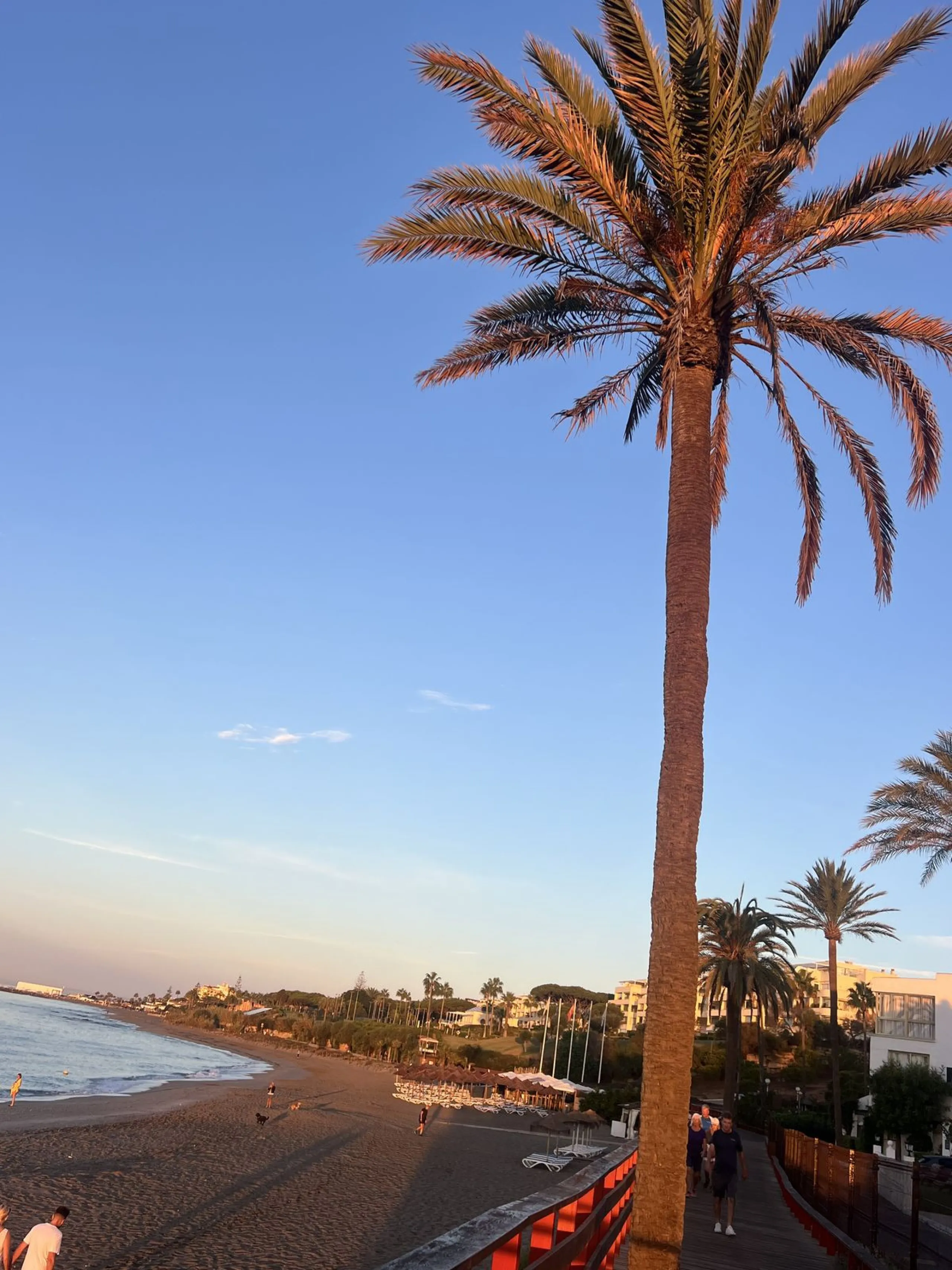 Apartment - Ground Floor Apartment в продаже в Mijas, Málaga. В доме 2 спален и 2 ванных комнат. Площадь дома 119 м²