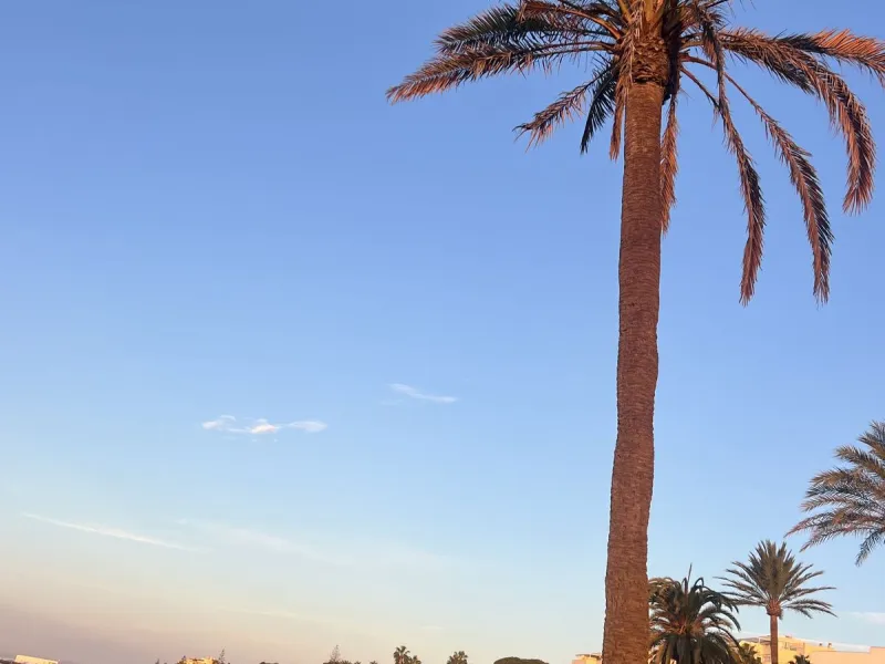 Apartment - Ground Floor Apartment в продаже в Mijas, Málaga. В доме 2 спален и 2 ванных комнат. Площадь дома 119 м²