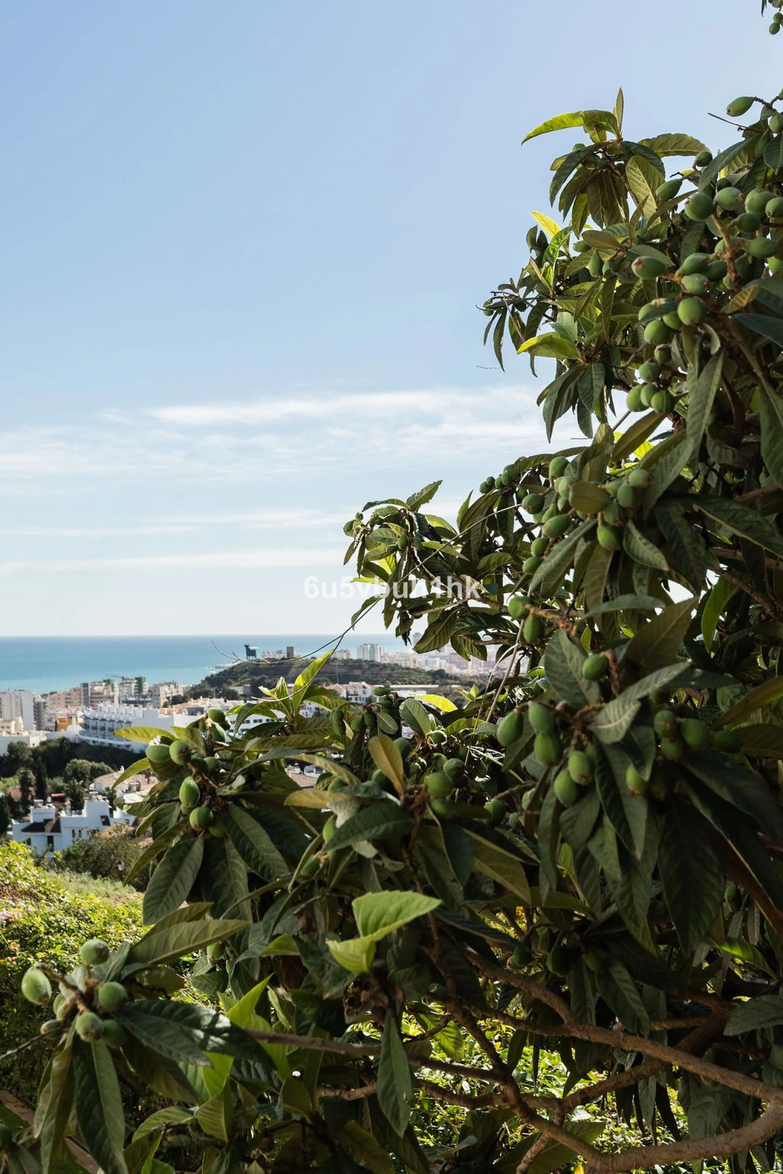 House - Detached Villa в продаже в Fuengirola, Málaga. В доме 4 спален и 6 ванных комнат. Площадь дома 300 м². Площадь участка 1000 м²