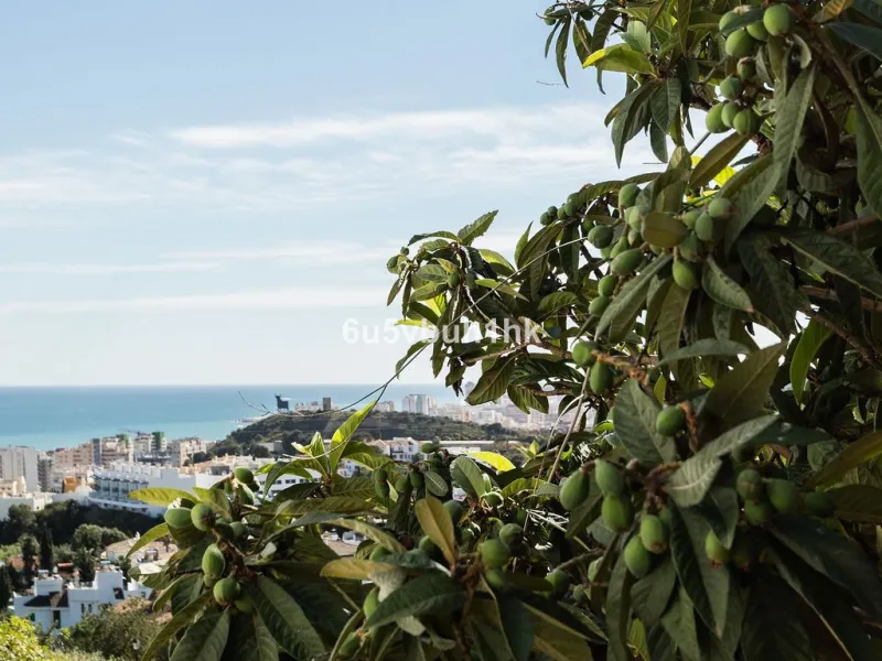 House - Detached Villa в продаже в Fuengirola, Málaga. В доме 4 спален и 6 ванных комнат. Площадь дома 300 м². Площадь участка 1000 м²