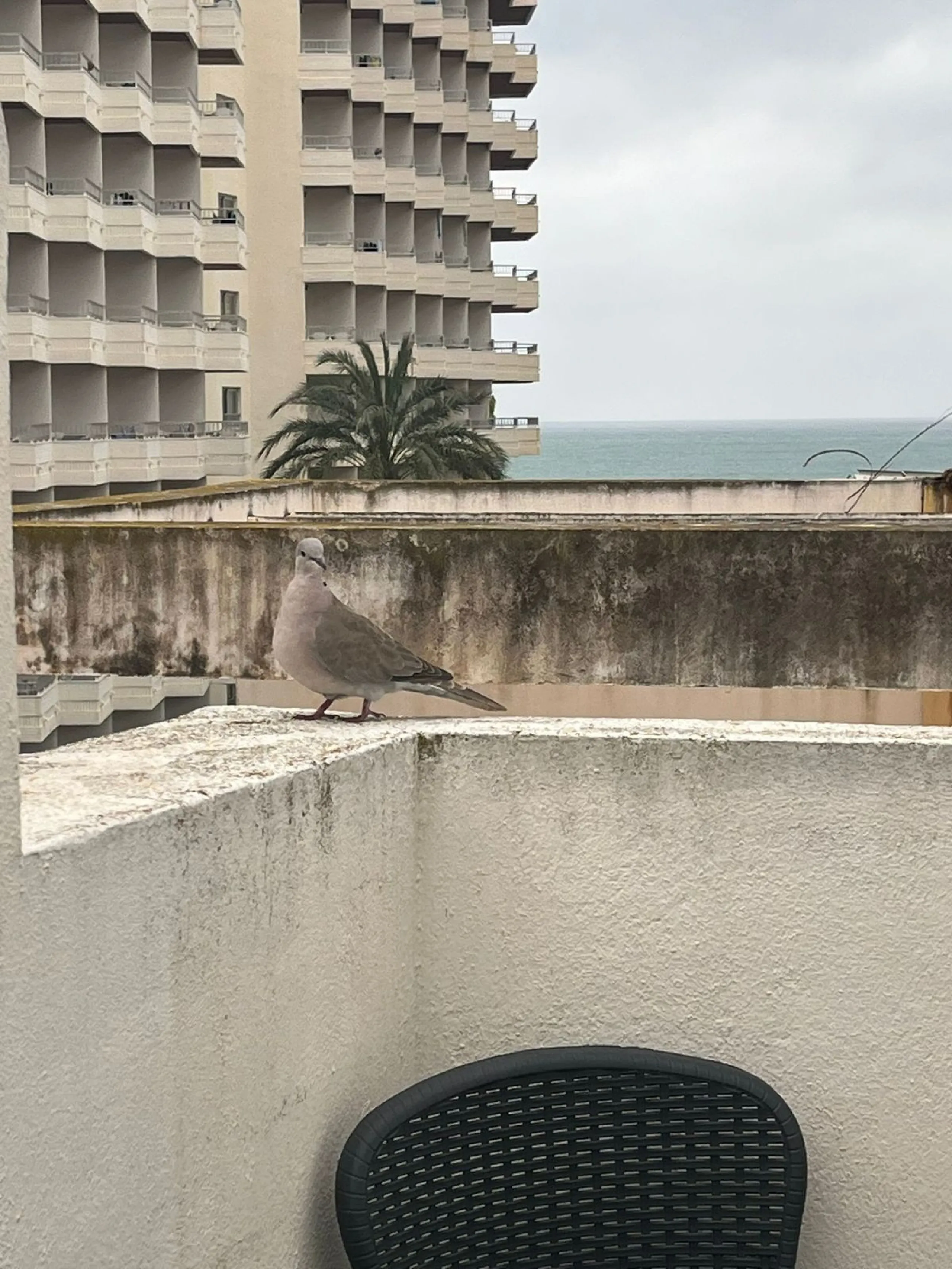 Small building in Bajondillo comprising a two-bedroom, two-bathroom duplex apartment with a solarium terrace.
