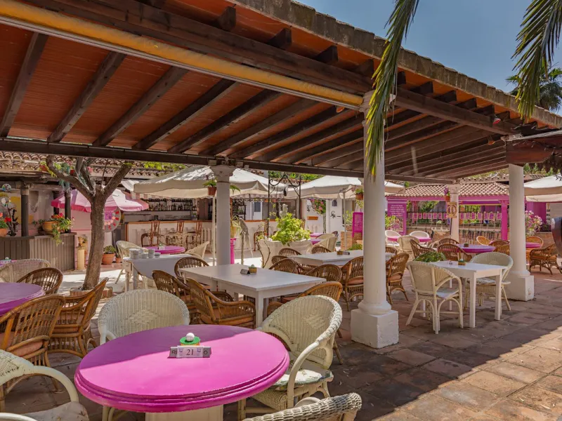 An outstanding opportunity presents itself in the heart of the Costa del Sol: the Roman Oasis, a distinctive finca set just 3 kilometres from the sandy shores of San Luis de Sabinillas and Manilva. This exceptional estate combines authentic Andalusian atm