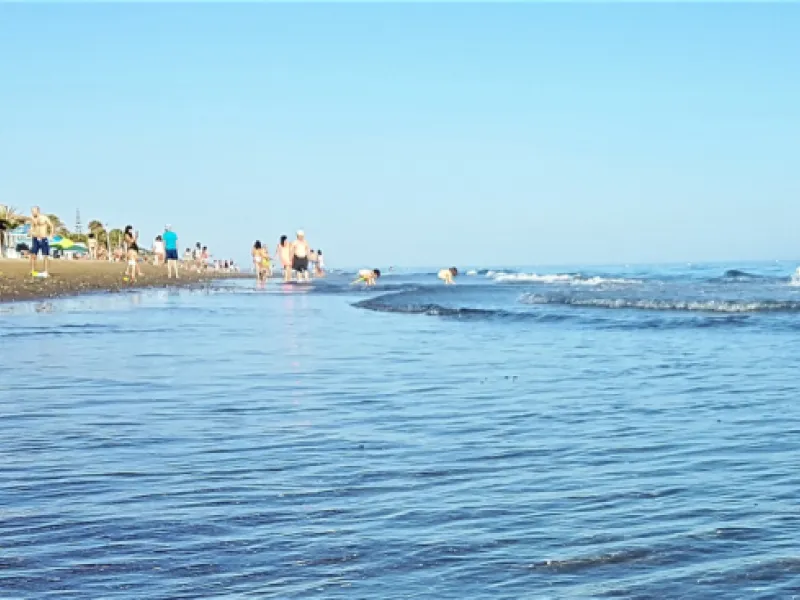 BEAUTIFUL BEACHFRONT APARTMENT WITH FANTASTIC TERRACE ON ONE OF MARBELLA'S BEST BEACHES!!