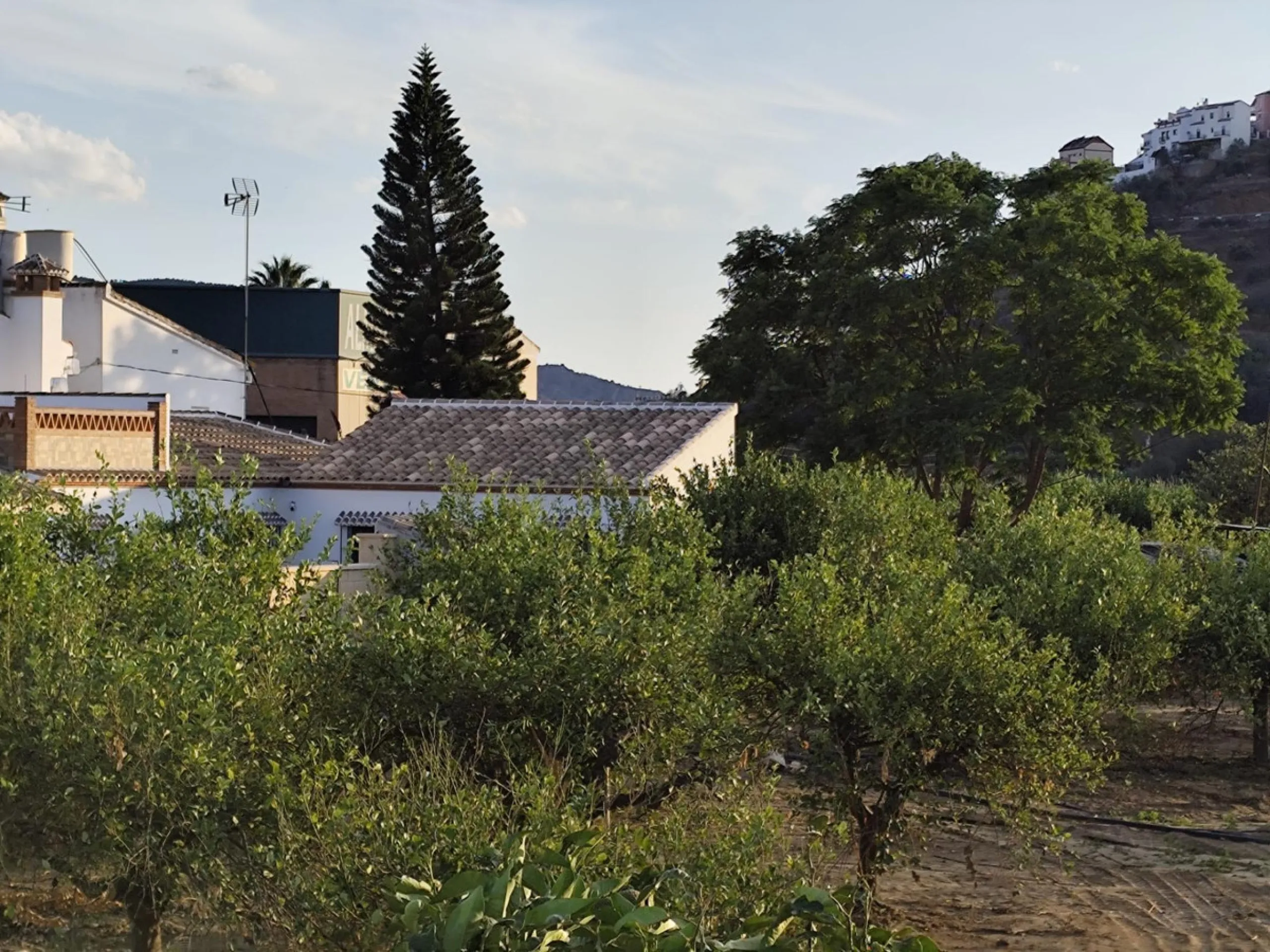 Plot - Land в продаже в Alora, Málaga. Площадь участка 7884 м²