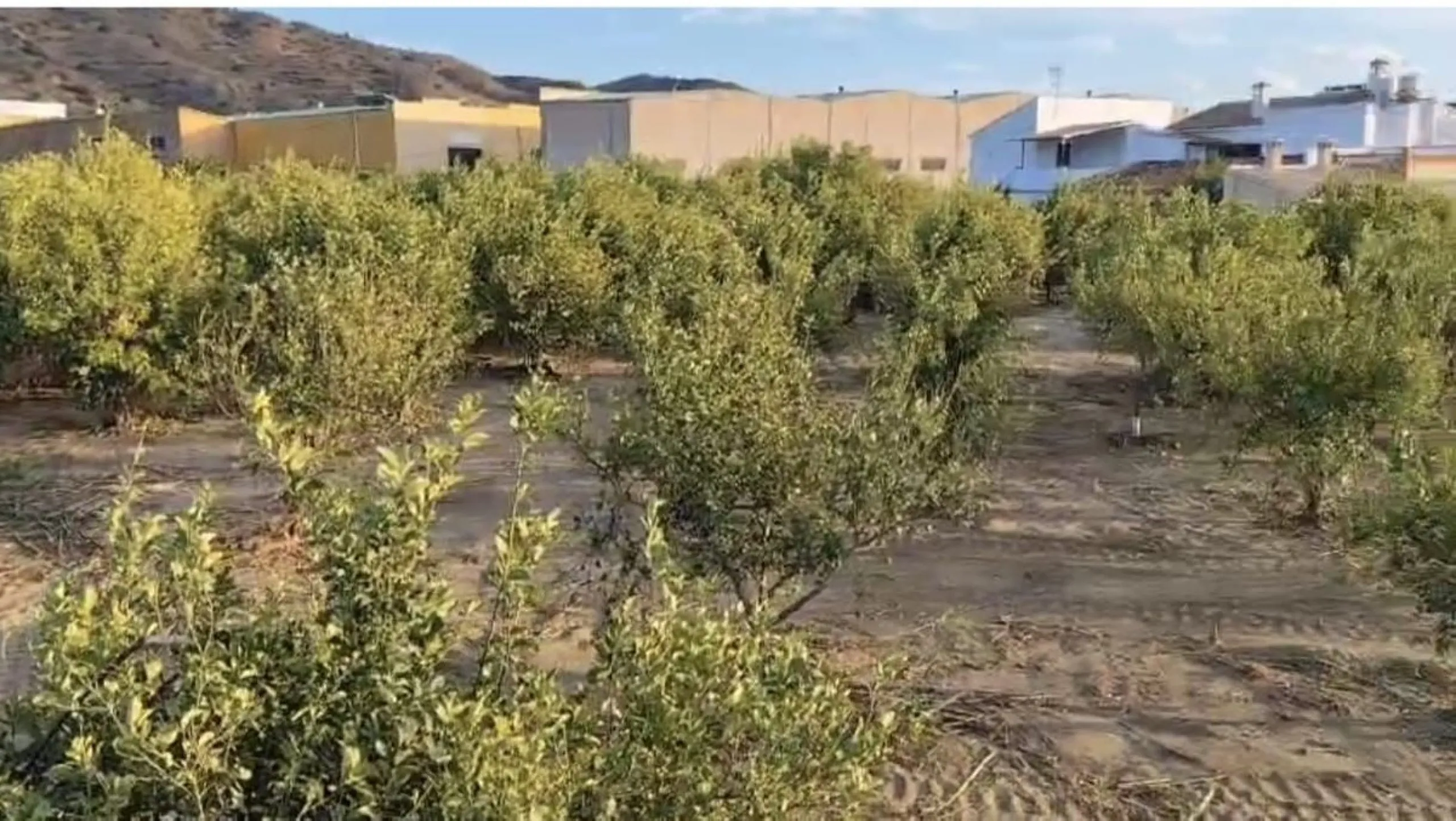 Plot - Land в продаже в Alora, Málaga. Площадь участка 7884 м²