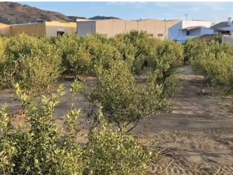 Plot - Land в продаже в Alora, Málaga. Площадь участка 7884 м²