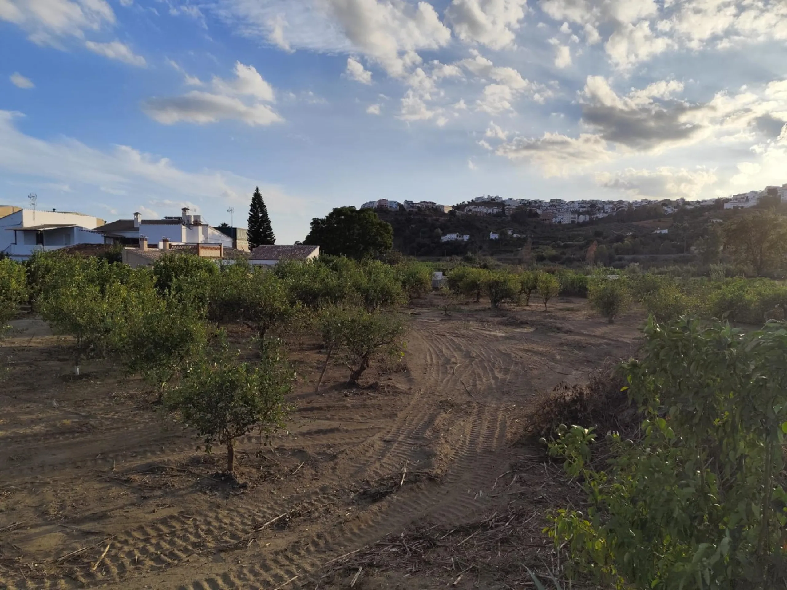 Plot - Land в продаже в Alora, Málaga. Площадь участка 7884 м²