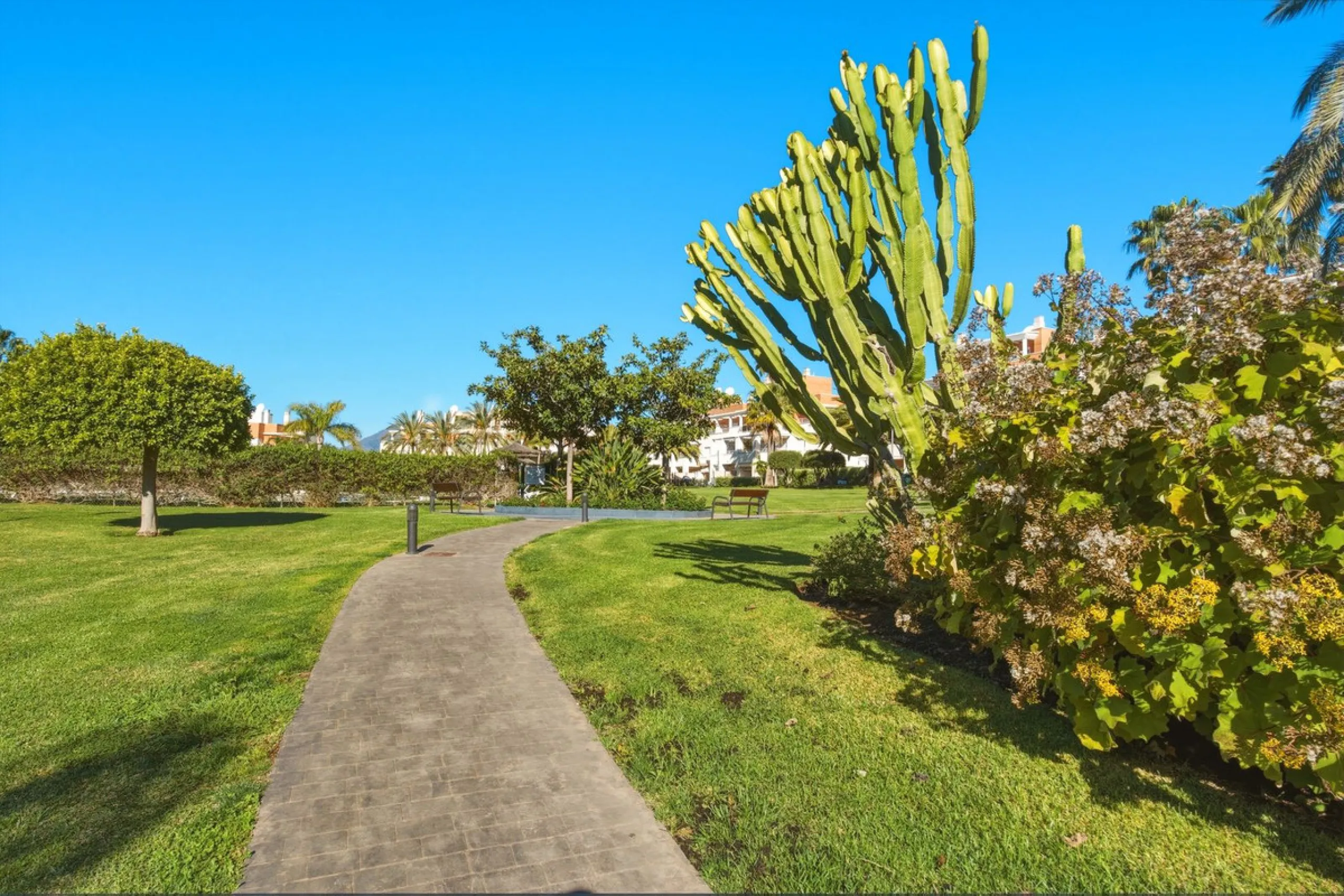 Spacious penthouse in Dunas Green, corner unit.