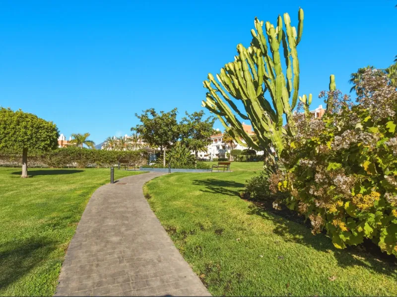 Spacious penthouse in Dunas Green, corner unit.
