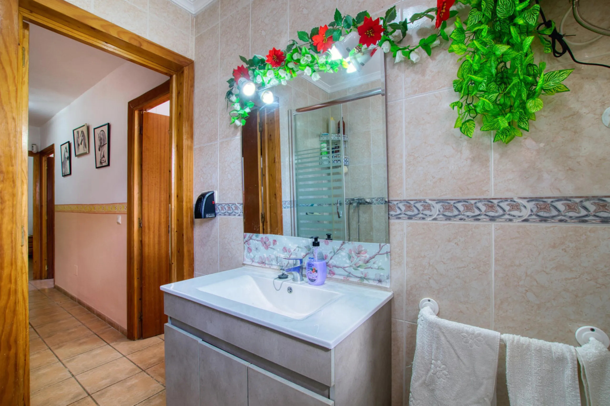Unique opportunity in Alcaucín!