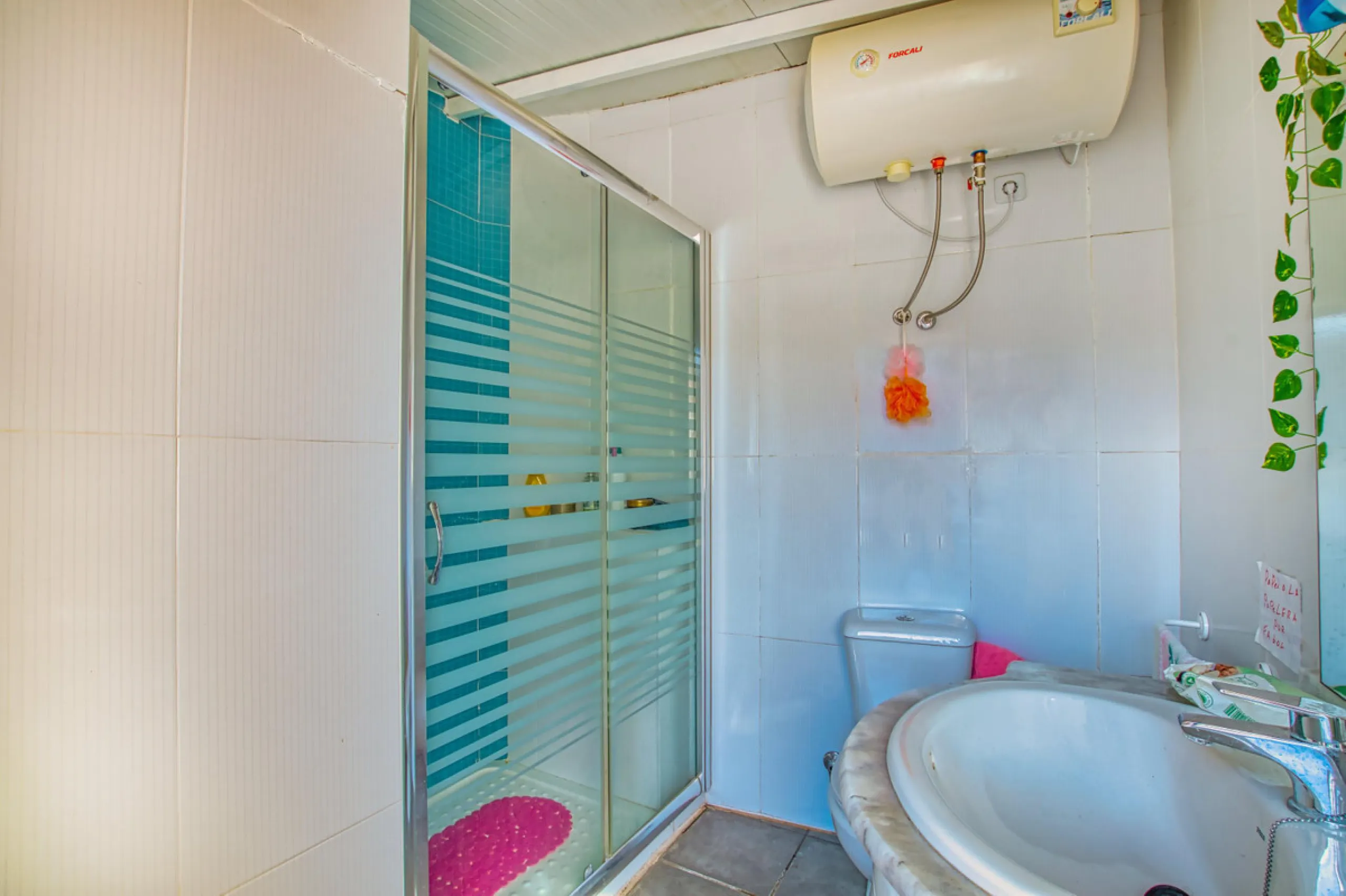 Unique opportunity in Alcaucín!