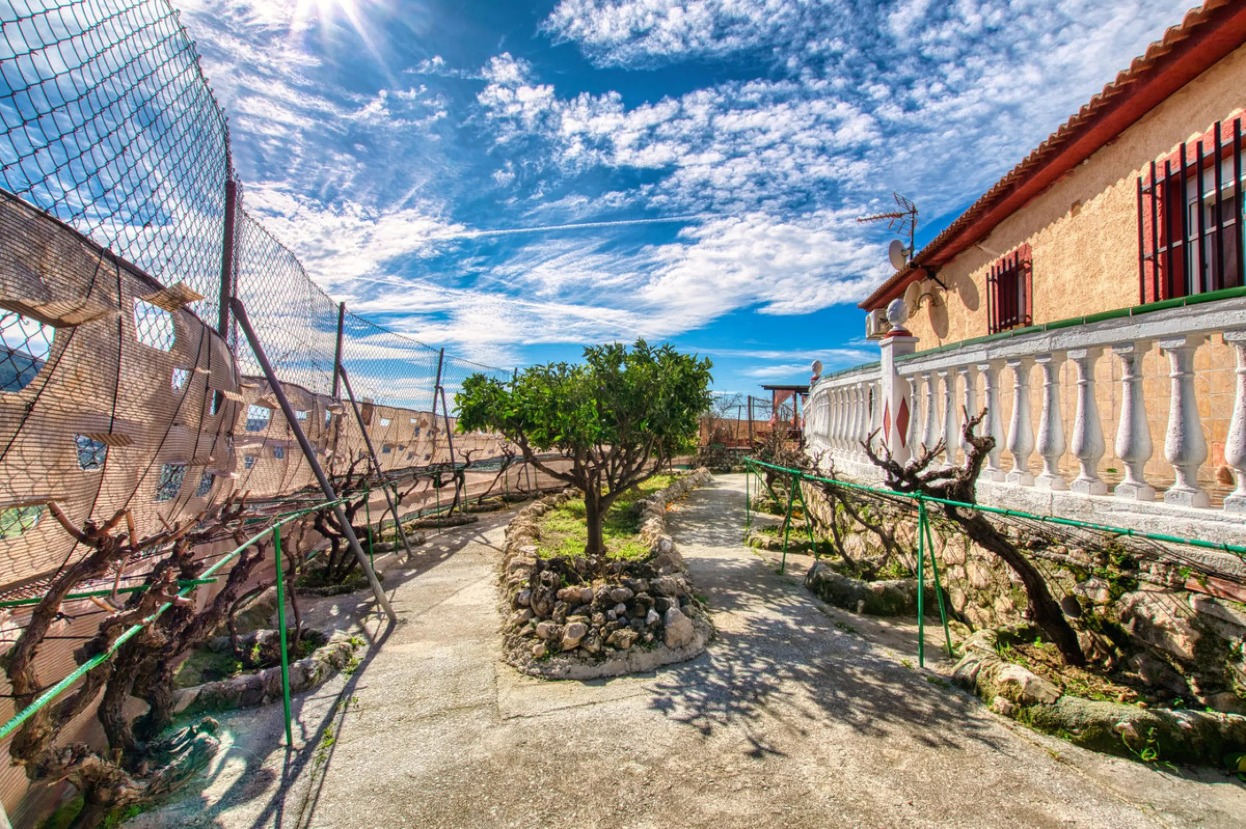 Unique opportunity in Alcaucín!